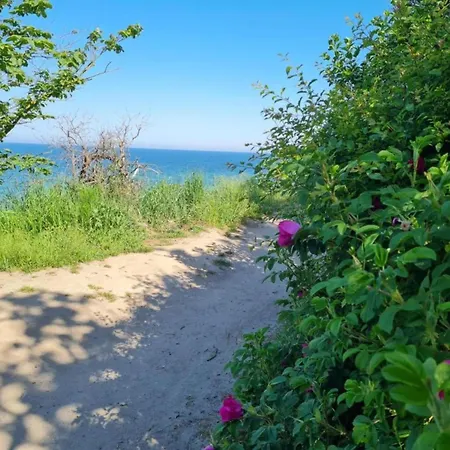 In Near The Baltic Sea